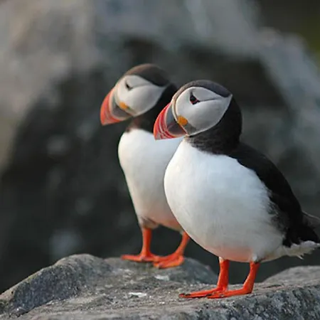 Quality Ulstein Hotel 3*